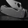 Titech Spyderco PM2 Stone Washed Titanium Scales -Outdoor Utility Shop HH SC SW P2.3 41263.1635785472
