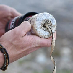 Rapid Rope Canister -Outdoor Utility Shop RRPC6010det5 05809.1640877901