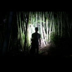 Fenix HL40R -Outdoor Utility Shop fenix hl40rdet7 37384.1587408221