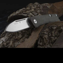 Buck Saunter Drop Point Folding Knife